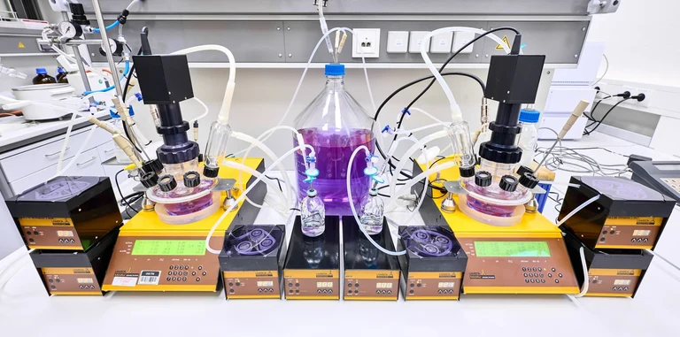 in vitro Darmmodell
