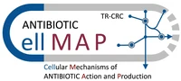 Logo CellMAP SFB