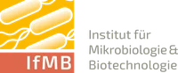 Logo_IfMB_Uni_10cm_screen.webp